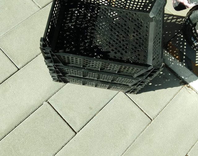 Dėžutės