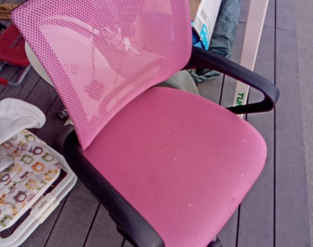Kompiuterio kedė