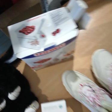 Vyšnių kauliukų išėmėjęs