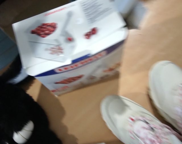 Vyšnių kauliukų išėmėjęs